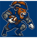 Lynchburg United Football and Cheer